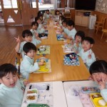 KODAK Digital Still Camera