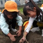 KODAK Digital Still Camera