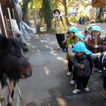 KODAK Digital Still Camera