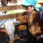 KODAK Digital Still Camera