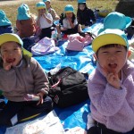 KODAK Digital Still Camera