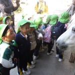 KODAK Digital Still Camera