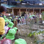 KODAK Digital Still Camera