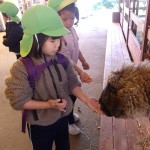 KODAK Digital Still Camera