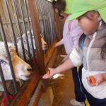 KODAK Digital Still Camera