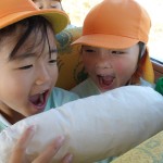 KODAK Digital Still Camera