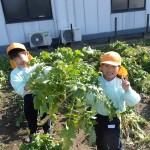 KODAK Digital Still Camera