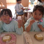 KODAK Digital Still Camera