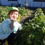 KODAK Digital Still Camera