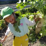 KODAK Digital Still Camera