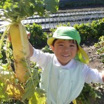 KODAK Digital Still Camera