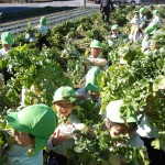 KODAK Digital Still Camera