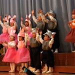 KODAK Digital Still Camera