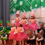 KODAK Digital Still Camera