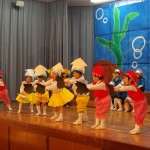 KODAK Digital Still Camera