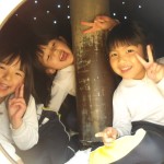 KODAK Digital Still Camera